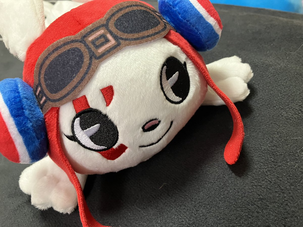 Mashiro_2160's tweet photo. ぎゃんかわ https://t.co/W2QvOg7ww2