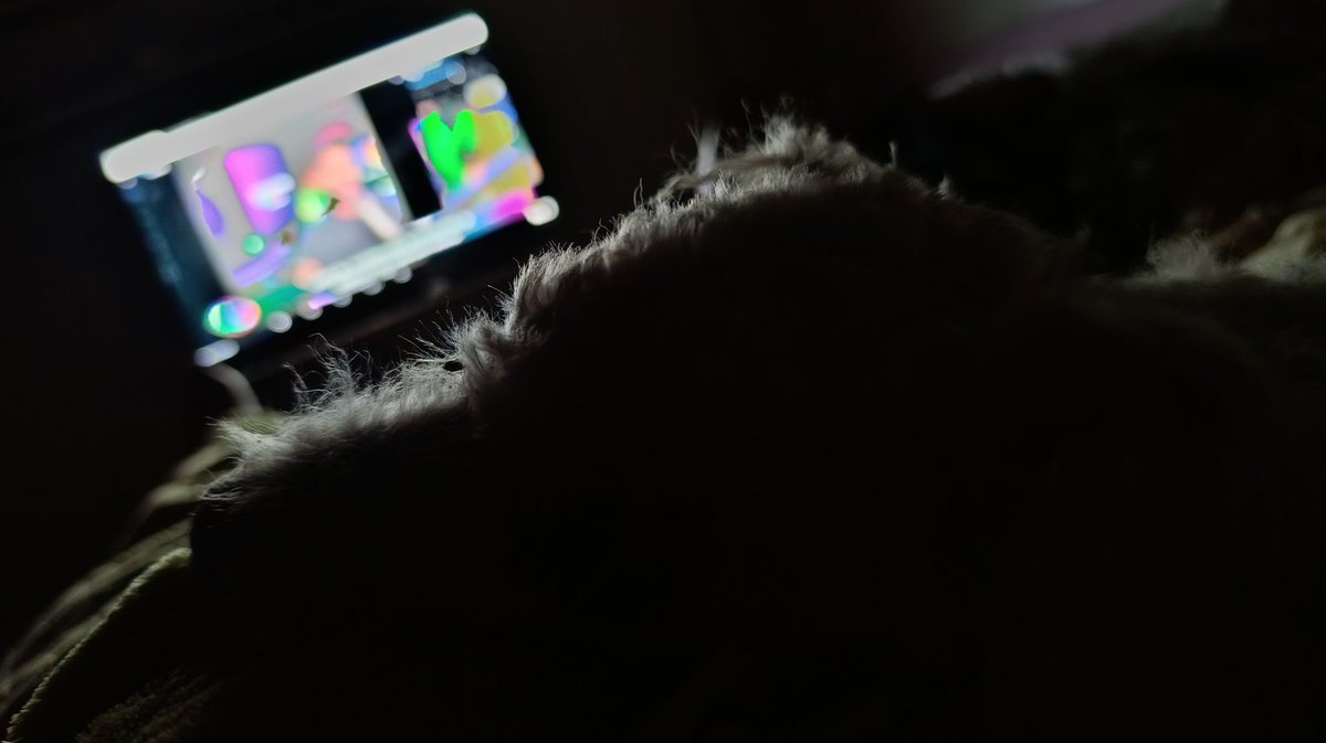 LuParodiMaschio's tweet photo. Ya se durmió mi perrito Barty @Poggi #ELAFTER https://t.co/vaBlIcPdDI