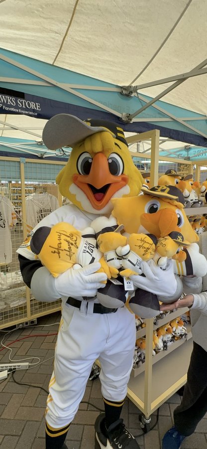 OP戦から登場したハリーぬいぐるみくじにハリーくんがご来店！ ぬい