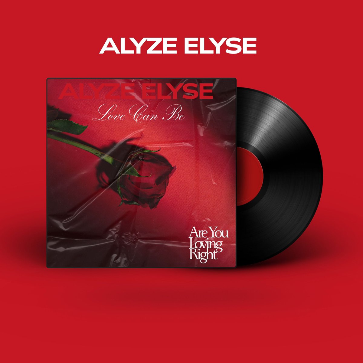 ❤️❤️❤️❤️