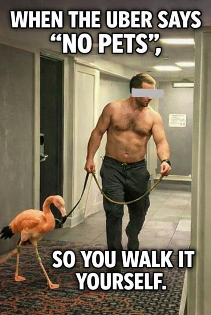 Cabal Janitor tweet media