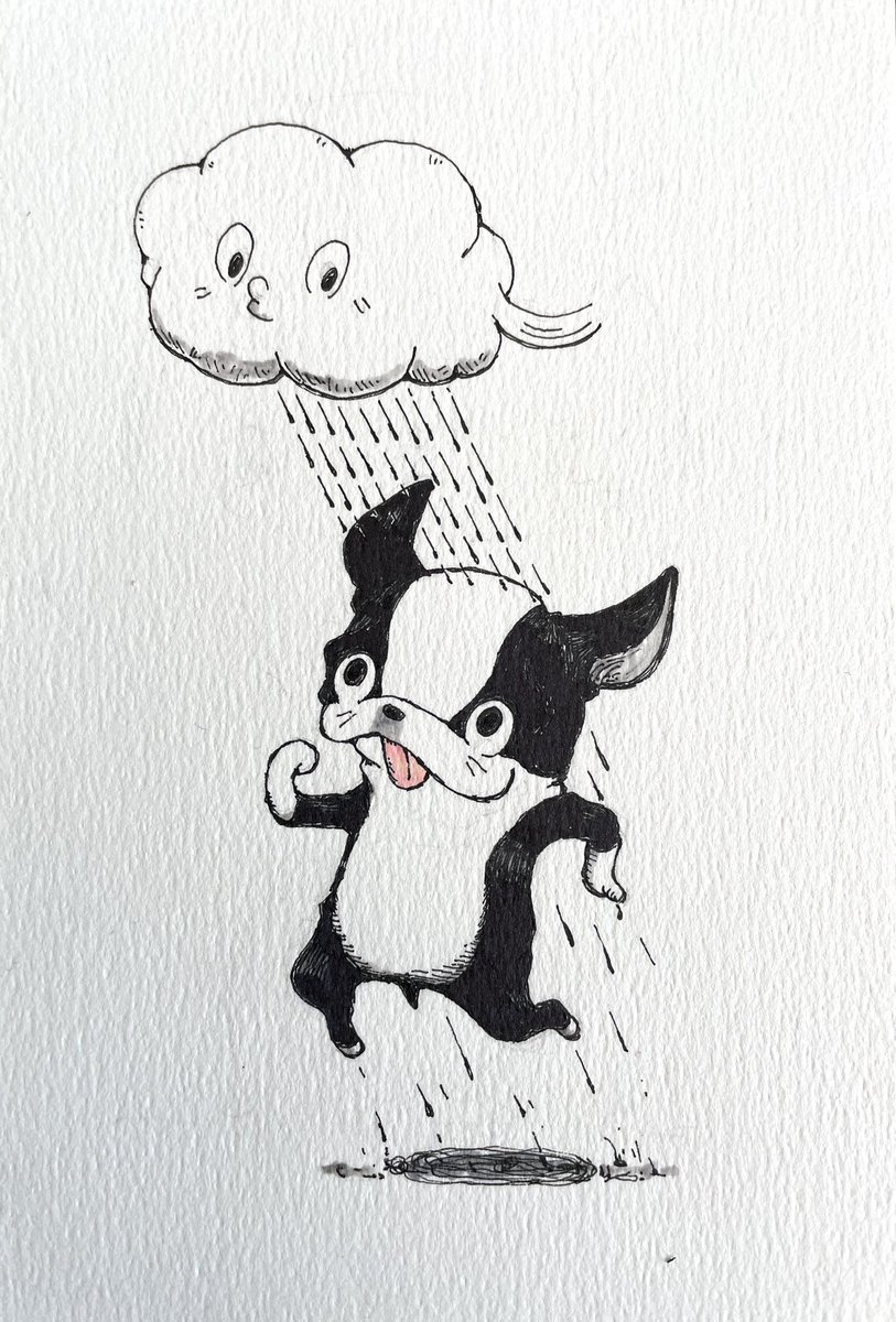 やまちゃんトルツメ (@yamayama0316) / Posts / X