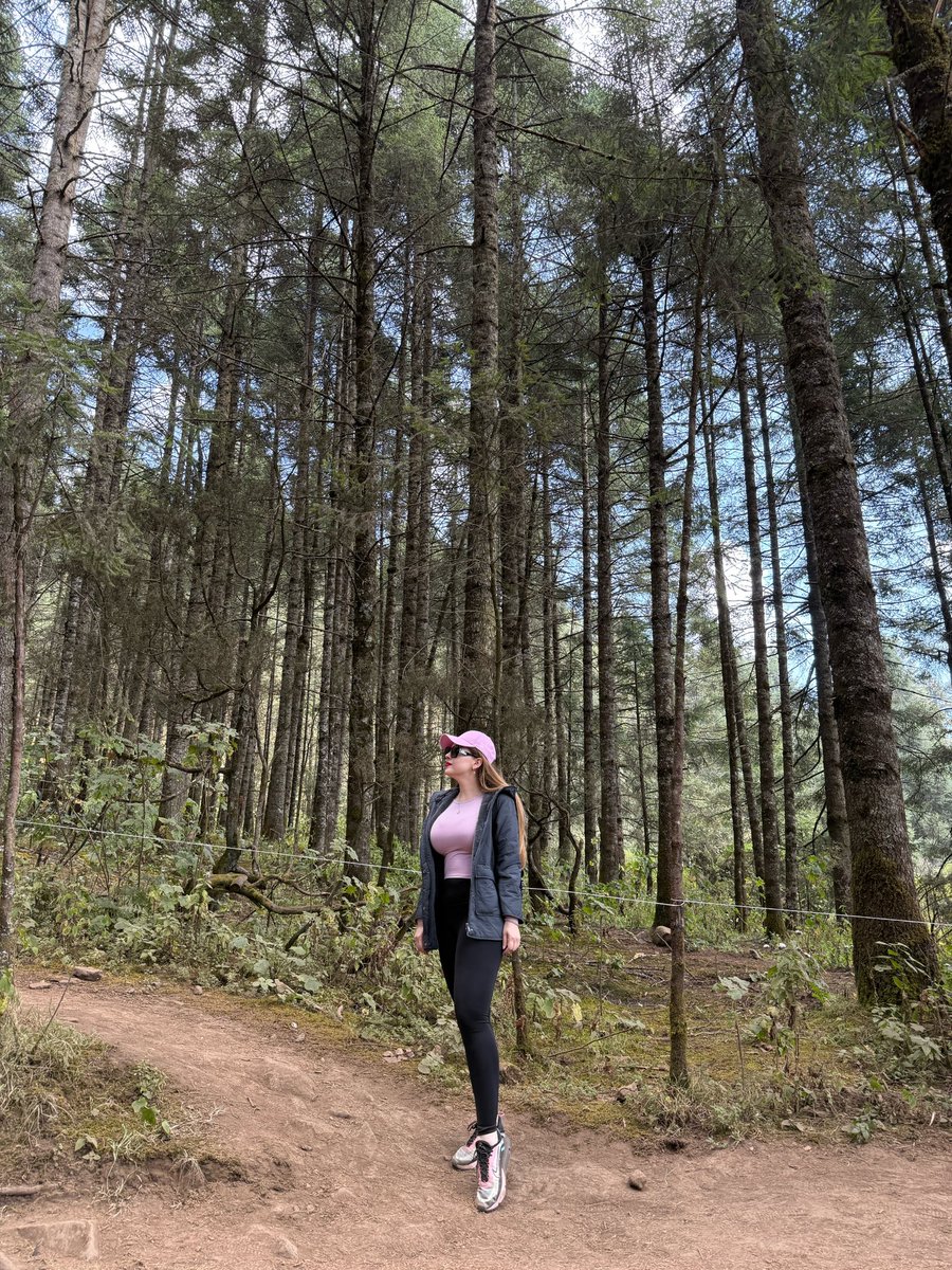 Cendy Robles tweet media