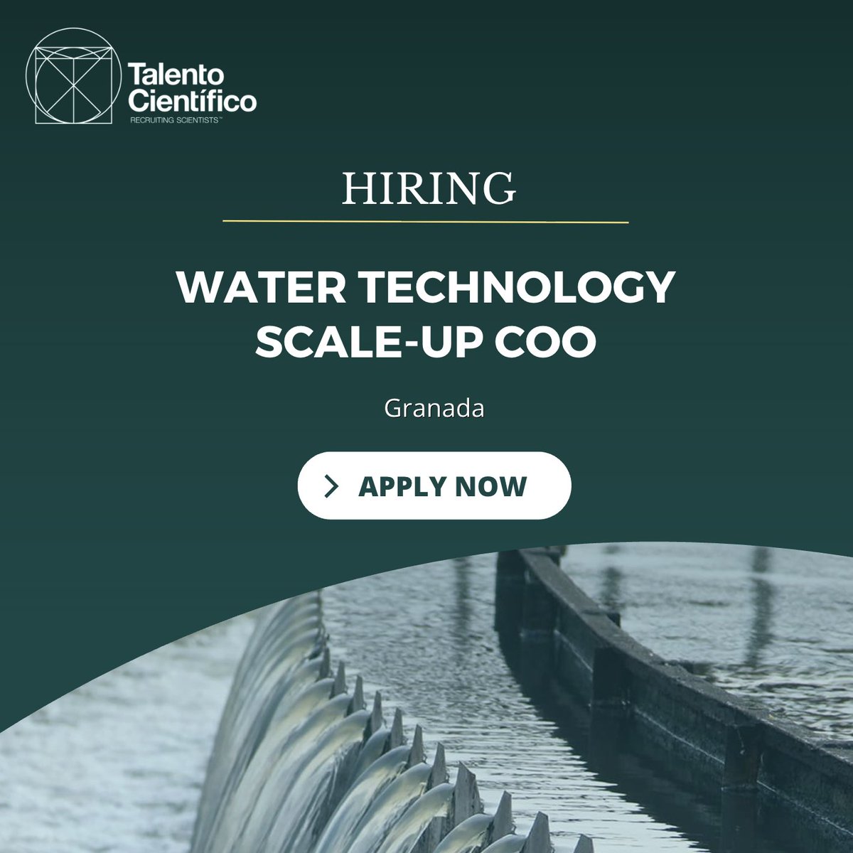 Talento Científico tweet media