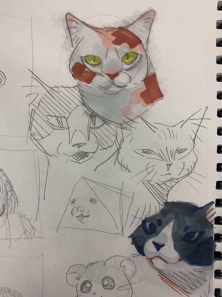 Zee 🐟 tweet media