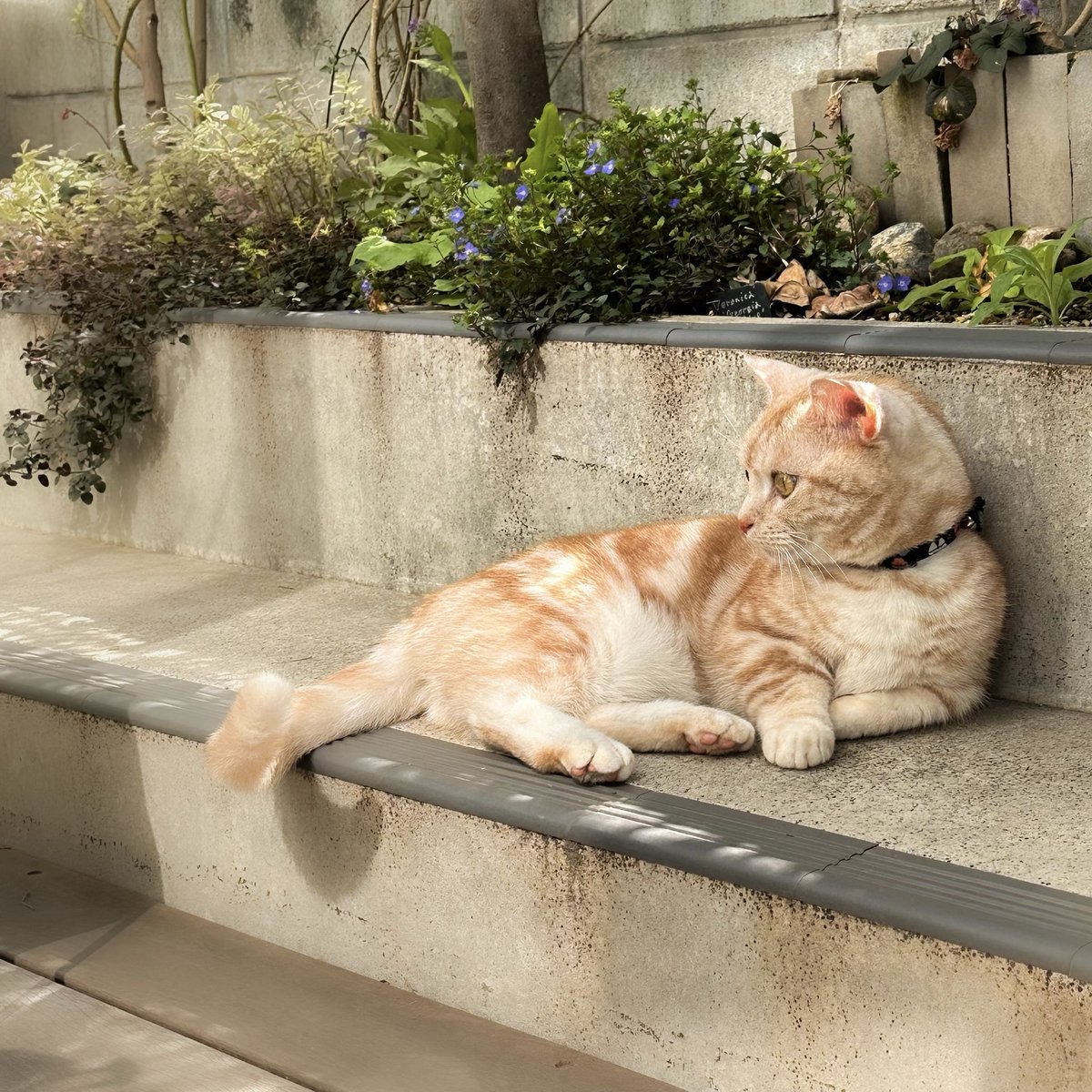 桑原太矩 tweet media