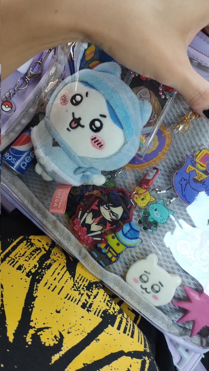 Mi bolsito de todos los dias y mi mochila de la facultad que esta bastante pateada asi que no tiene mucha decoración (? A veces llevo a hachiware conmigo y va en su prision de cristal o en un transportador colgando