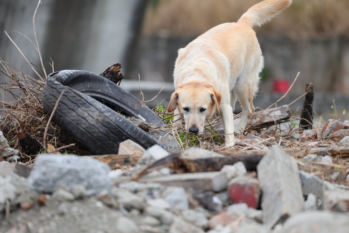 Taiwan Review tweet media