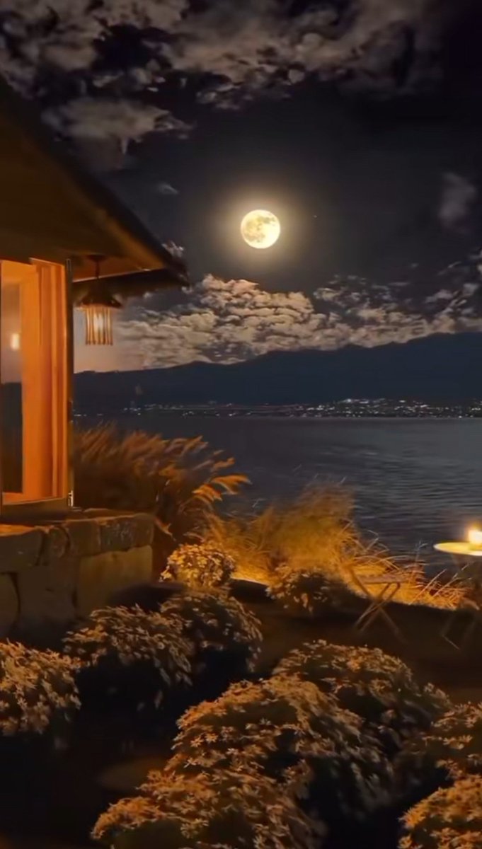 راوي tweet media