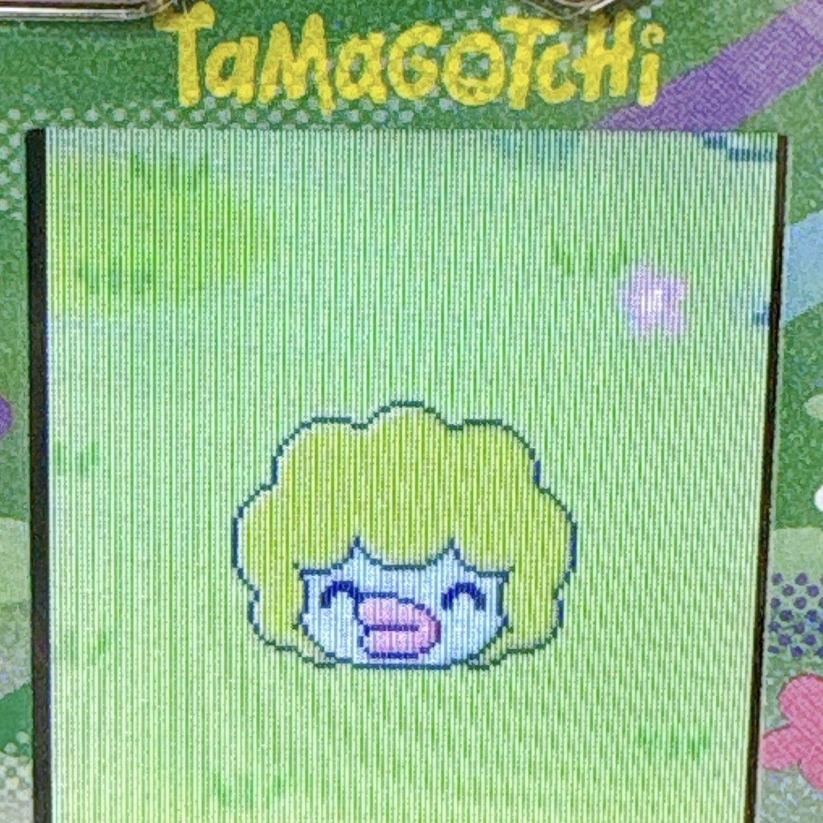 사무의식사 tweet media