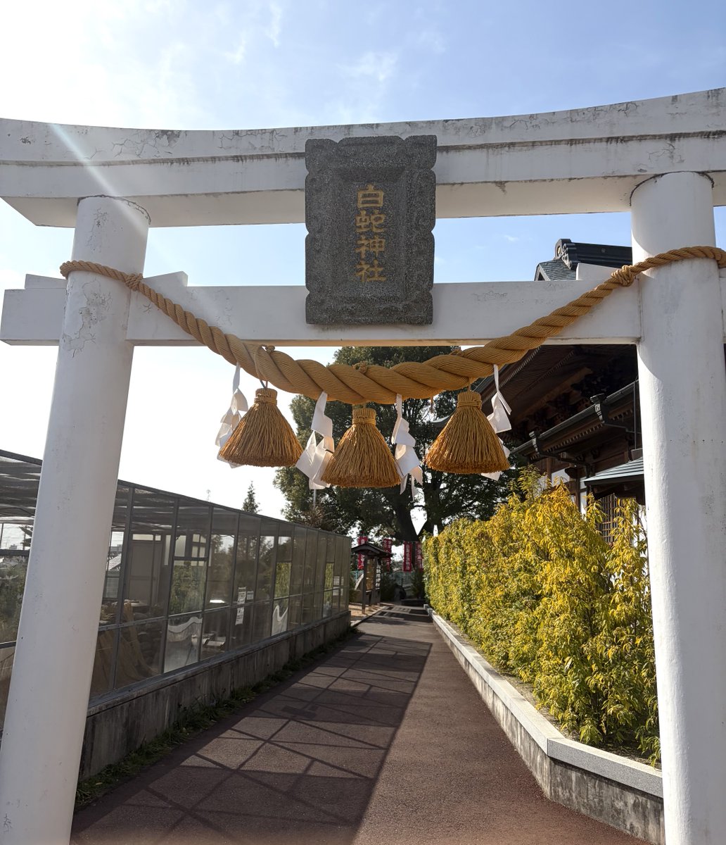 ookami1090's tweet photo. 今日の昼飯

岩国市　白蛇神社参拝からの
いろり山賊 https://t.co/h22yqnfuXo