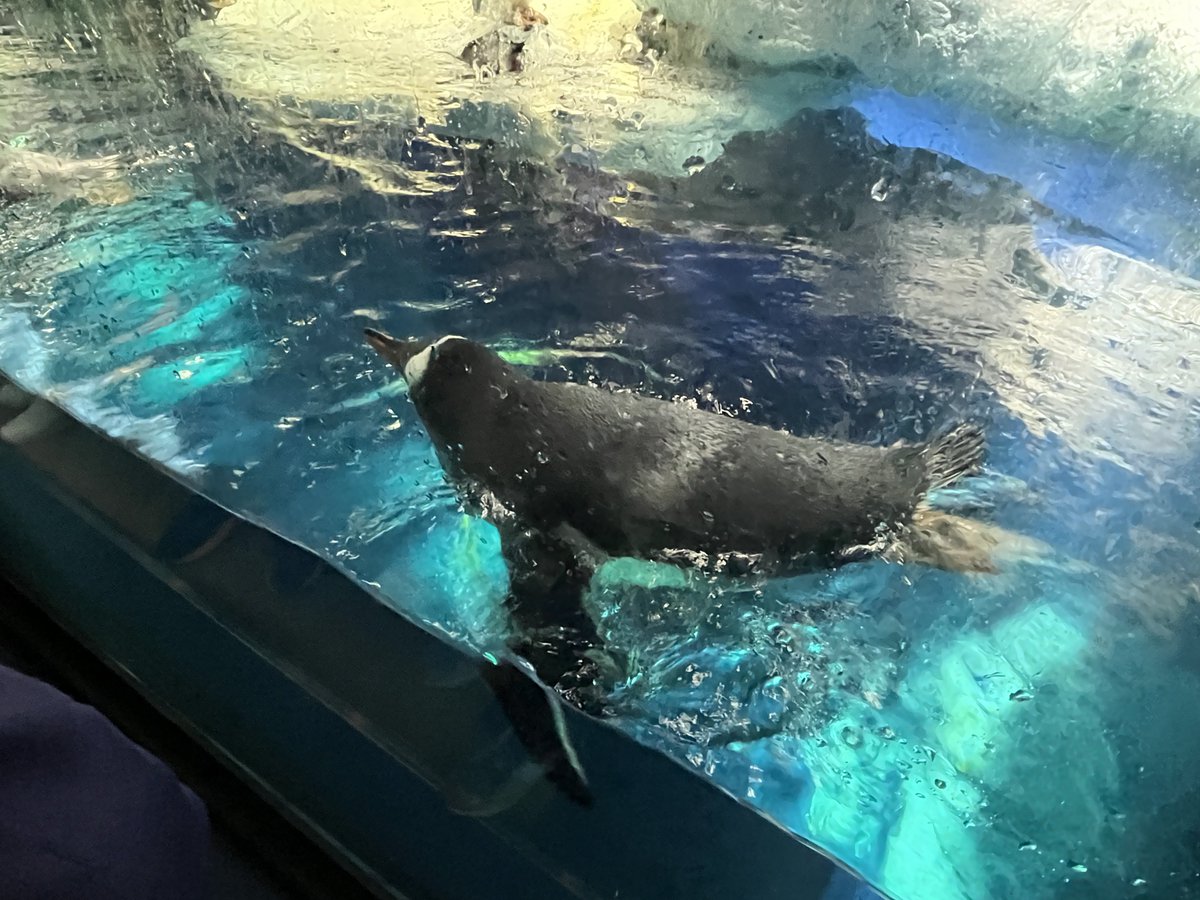 怒りすぎたので、涼しげな写真でクールダウンしておきます