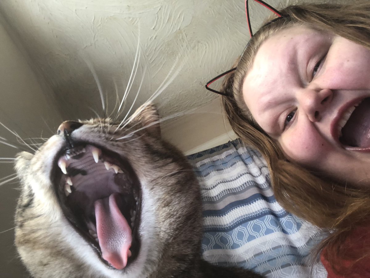 Evor havin an hard timb wif tha stat of tha worl? Tri screemim wif u ant or gardian 2 day!!