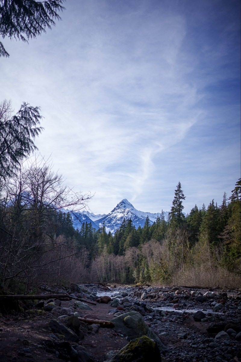 Shantanu Gupta tweet media