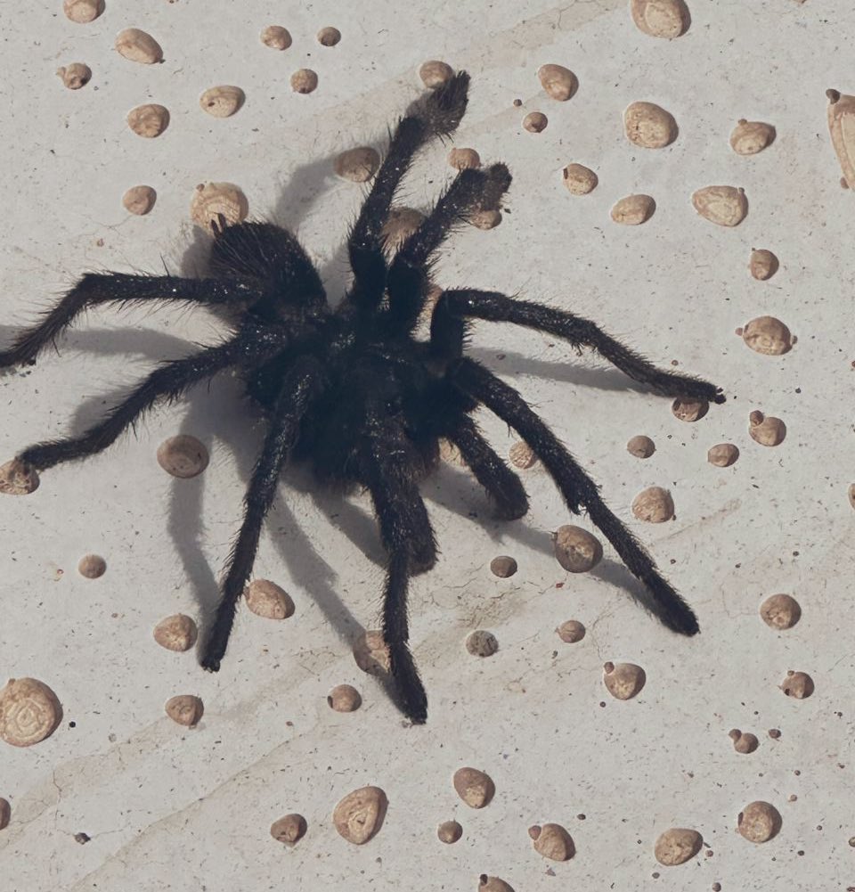 Fran 🇦🇷🧉 tweet media