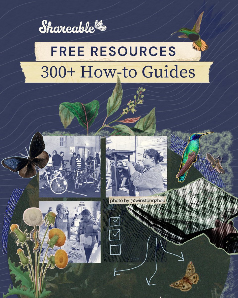 Shareable tweet media