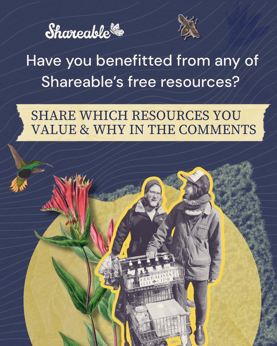 Shareable tweet media