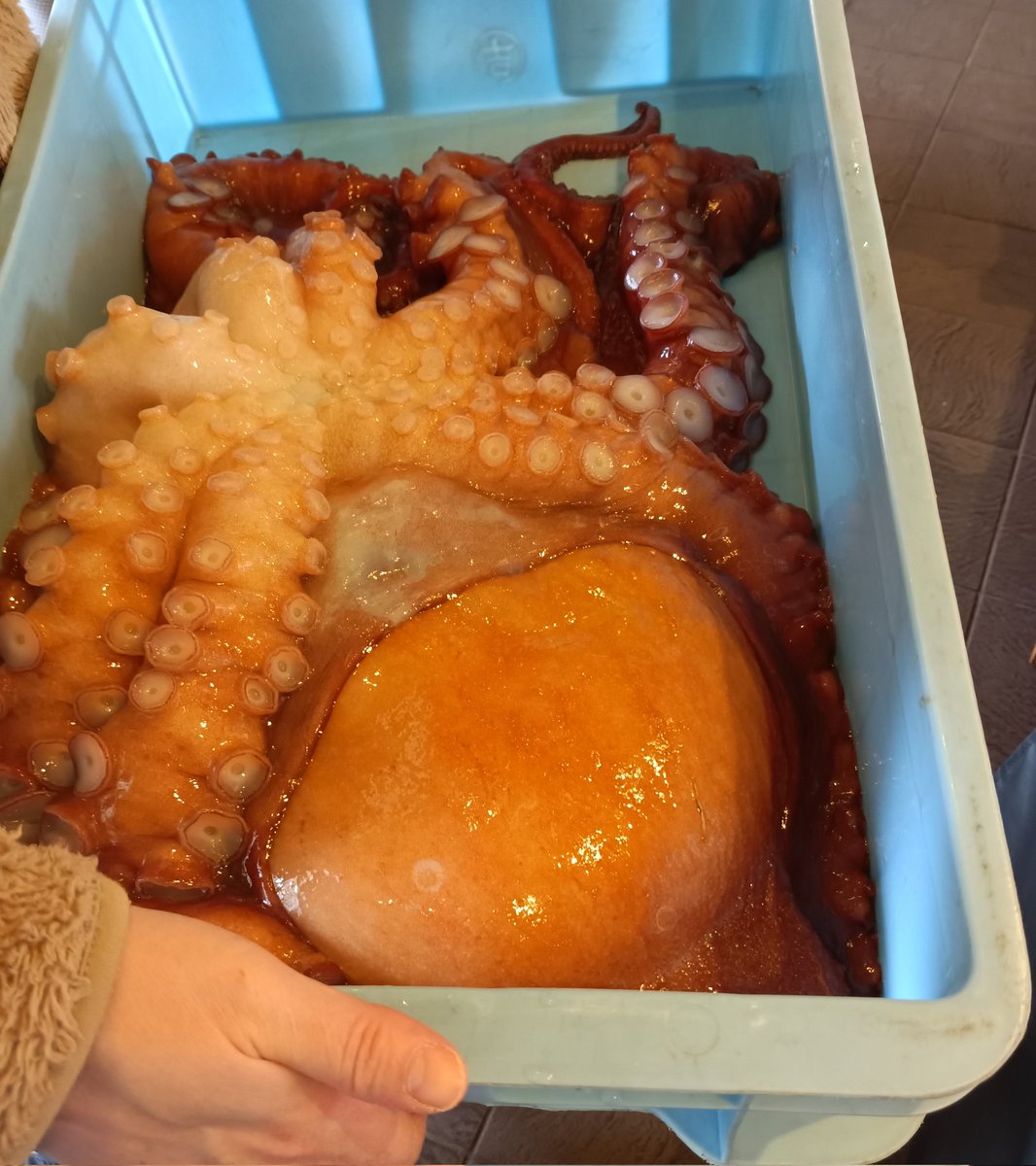 愛ちゃま🐹 (@aichama49) / Posts / X