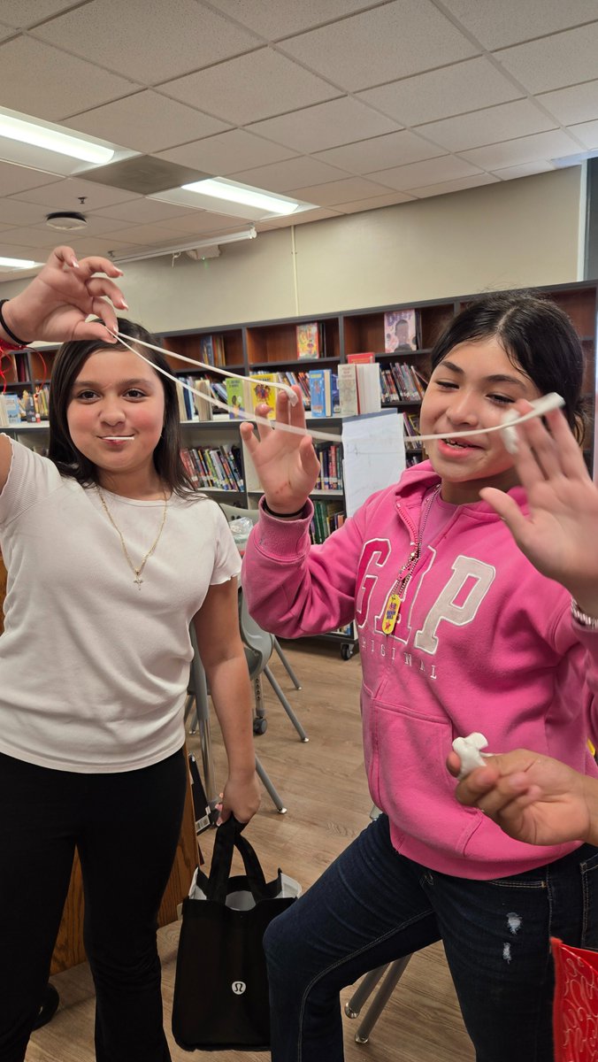 Lipscomb Librarian tweet media