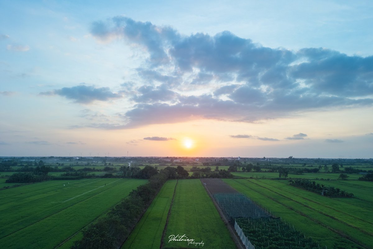 phitrieupro5's tweet photo. ☀️ Bình minh trên những cánh đồng 🌾
Để có thể ngồi nhâm nhi ly cà phê, ngắm mặt trời ló dạng thì cái giá phải trả là nhiều cái báo thức lúc 4h30 sáng 🤣
#PhiTrieuPhotography #landscape #sunrise #drone https://t.co/ZhWyKQ14Rr