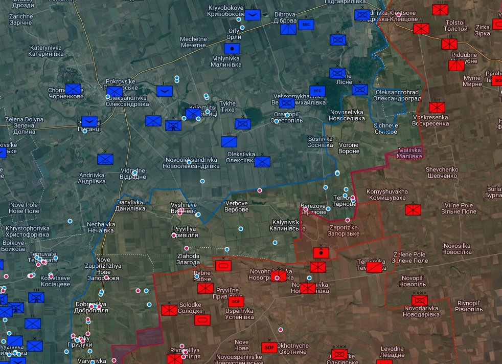 david D. tweet media