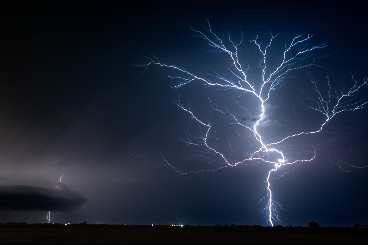 Phil Ostroff tweet media