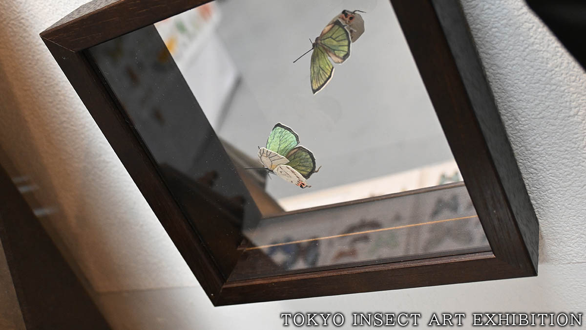 いつも素敵なお写真をありがとうございます🥳