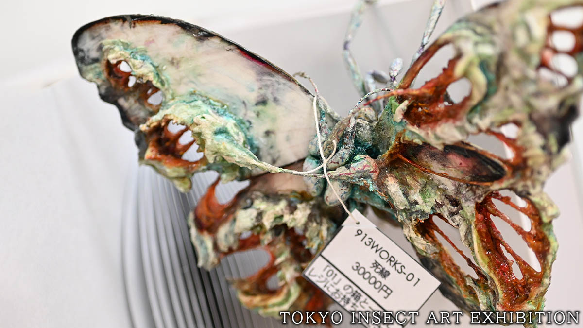 いつも素敵なお写真をありがとうございます🥳