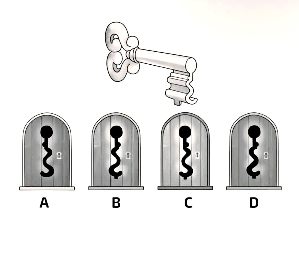 Denise 🇺🇸 tweet media