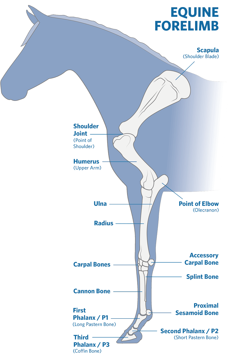 Stated Clearly - Jon Perry tweet media