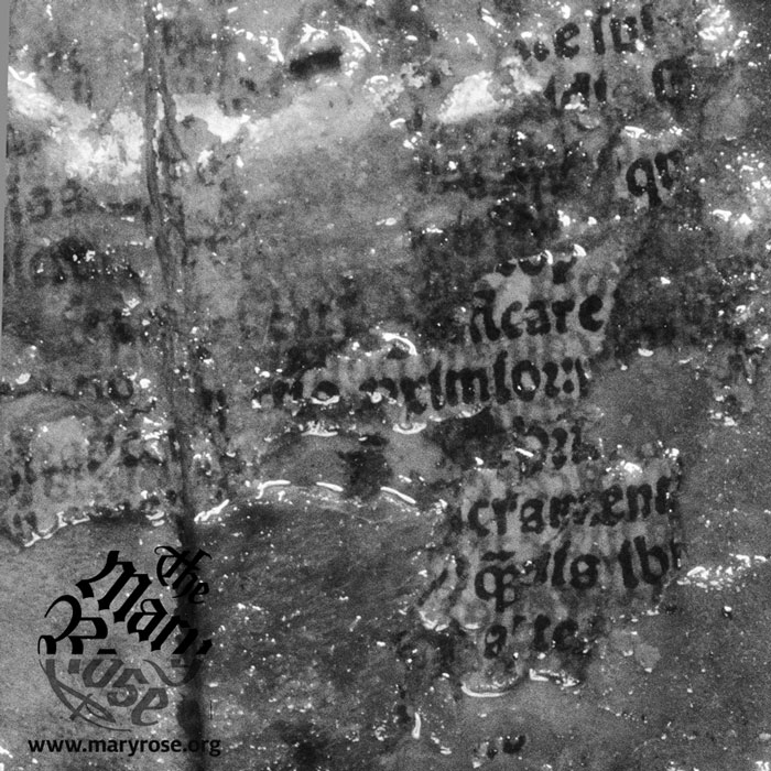 Portsmouth Historic Dockyard tweet media