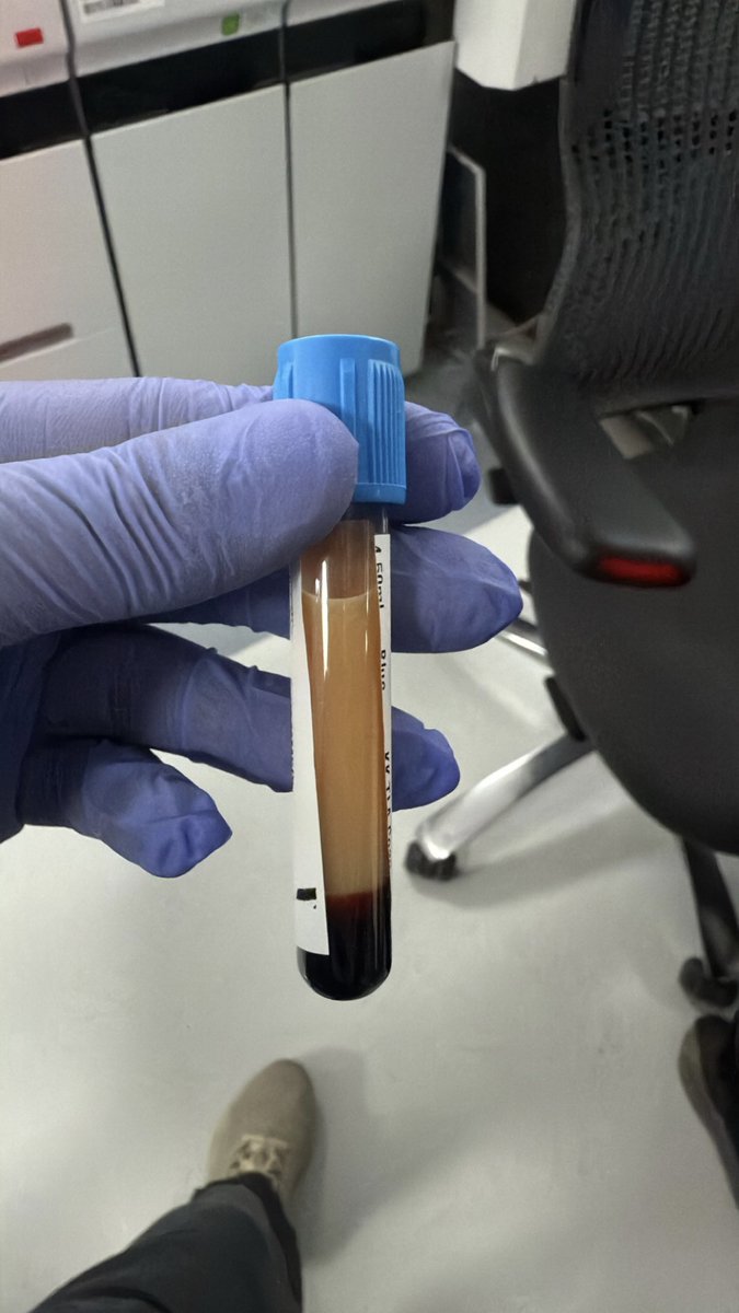 HAMAD 🎓 tweet media