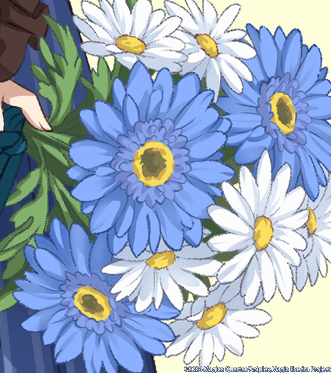 ✨✨━━━━━━━━━✨✨ 生放送まであと1日