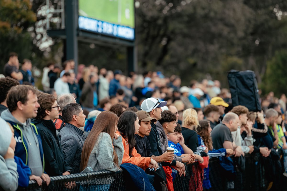 South Melbourne FC tweet media