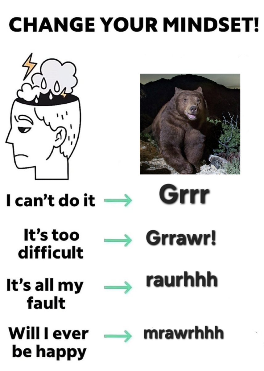 helio tha bwear tweet media