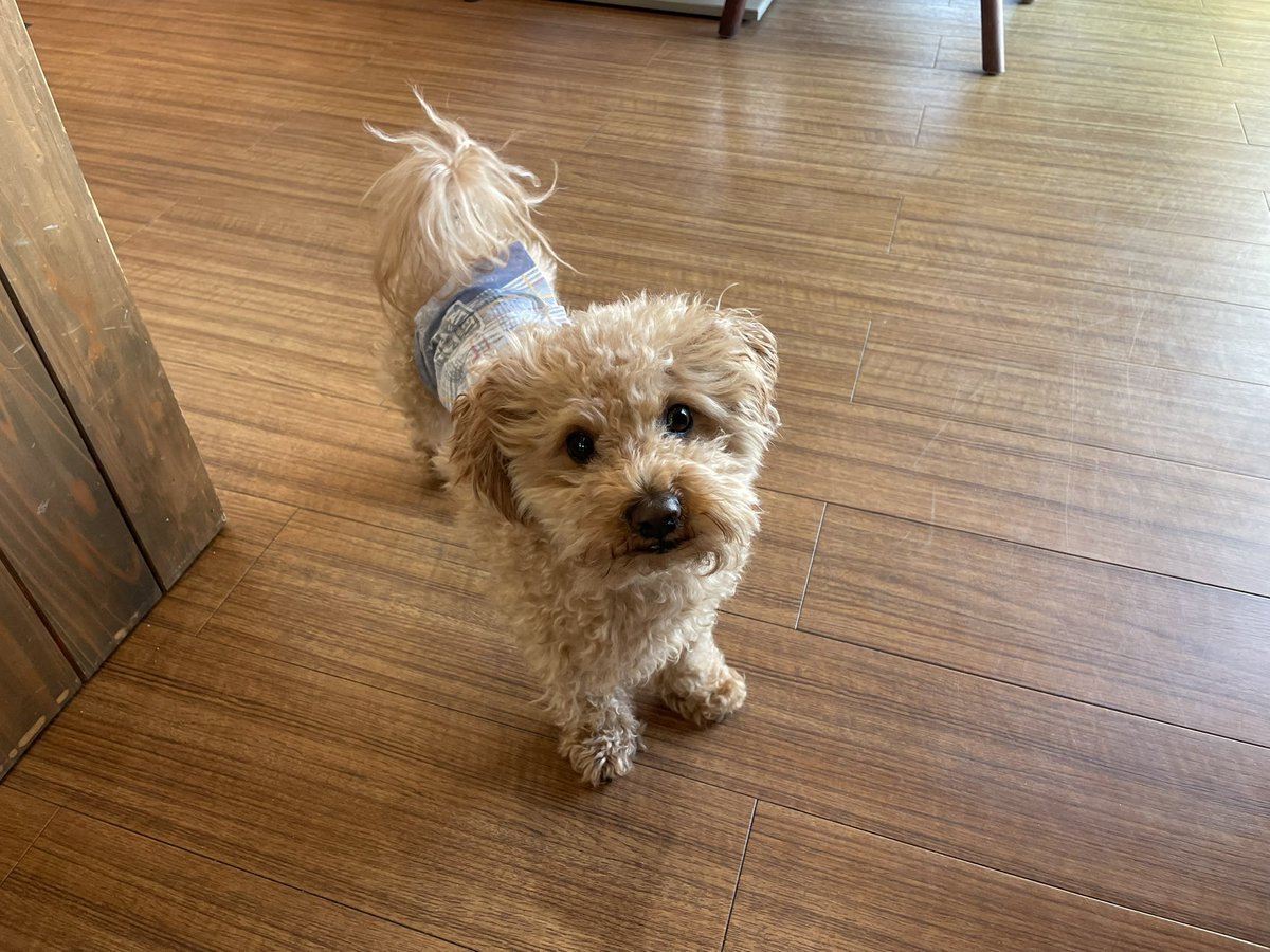 西本良敬 tweet media