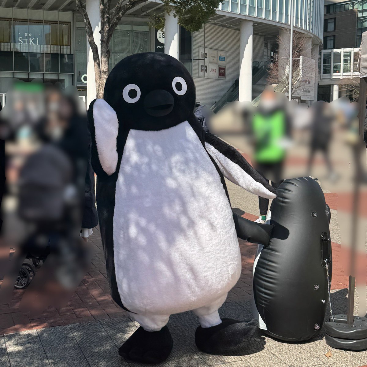 とてもかわいい #suicaのペンギン撮影会 #桜木町