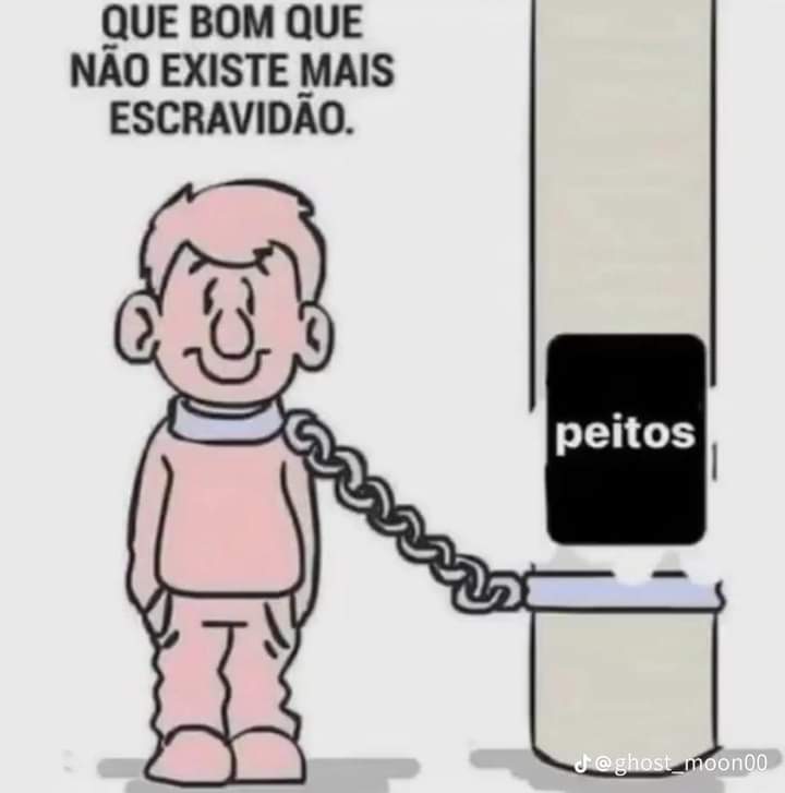 perfil dedicado a gatinhos e p3it0s tweet media