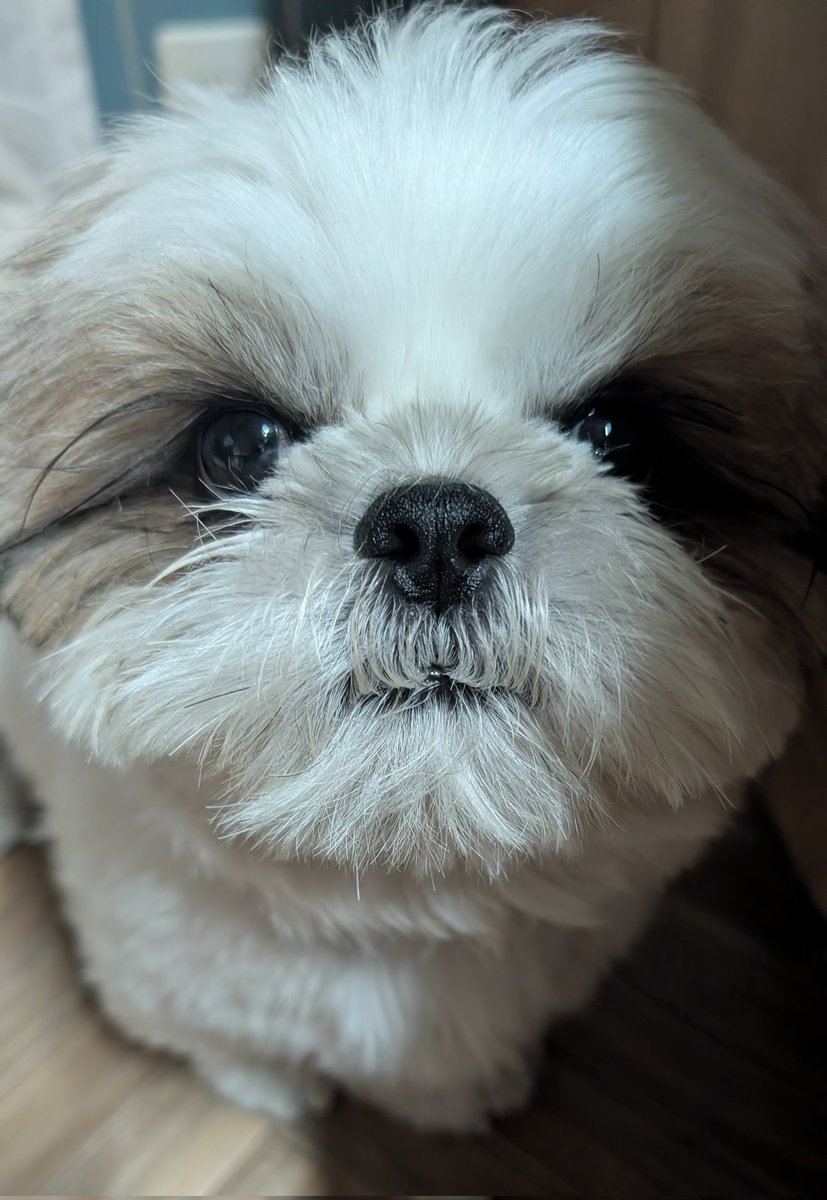 😍😍😍💗💗💗