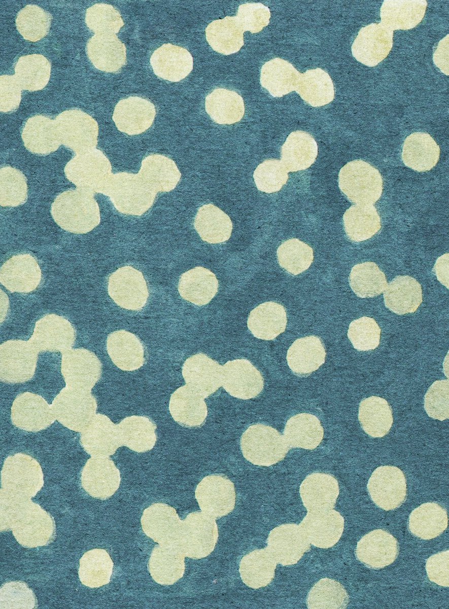 오와영 tweet media