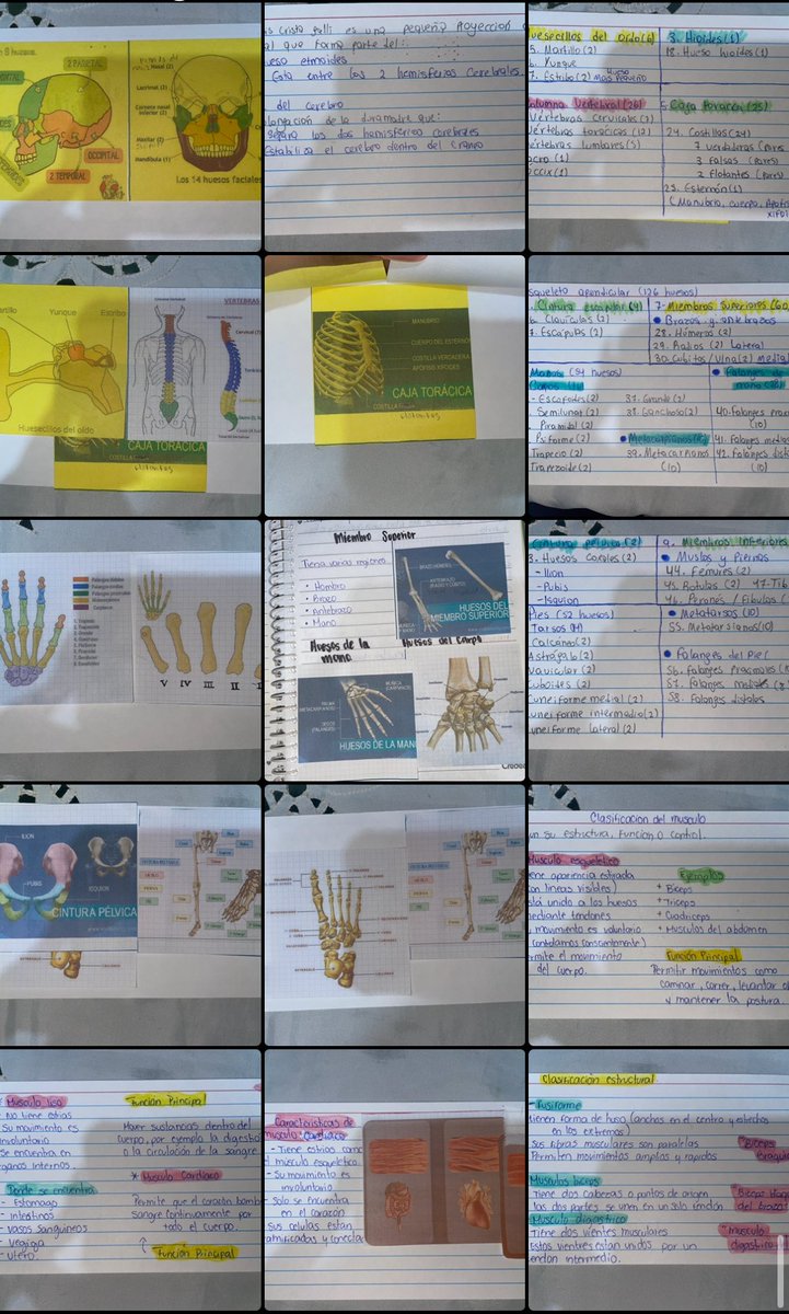 Fuerzas y seguimos para adelante 😞