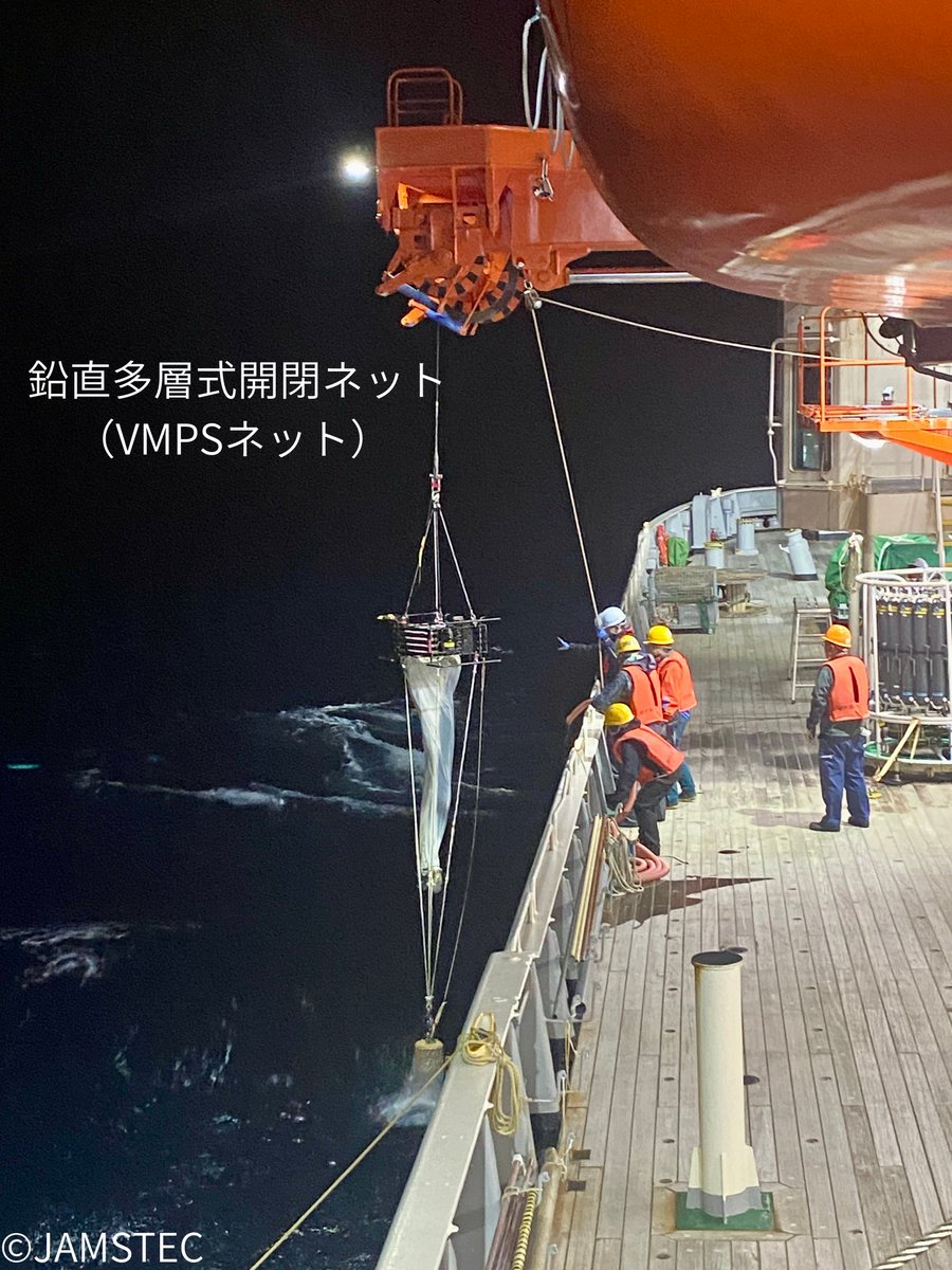 学術研究船「#白鳳丸」は、小笠原諸島南東沖にて観測を実施しています🚢
今航海では、多様な観測装置を搭載できる白鳳丸の特徴を最大限に活かし、24時間体制で作業しています💪🏻

#JAMSTEC