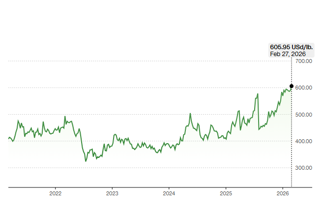 Paola Rojas 🐝 tweet media