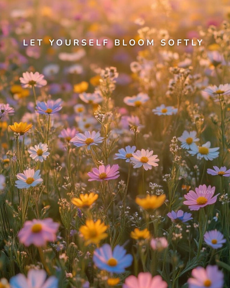 Some seasons aren’t about rushing. They’re about growing quietly, gently, beautifully.

Like wildflowers in golden light, you don’t have to compete to shine. Just stand in your own sun and bloom in your own time. ✨

#SoftLiving #BloomWhereYouAre #GoldenHourGlow #SlowGrowth