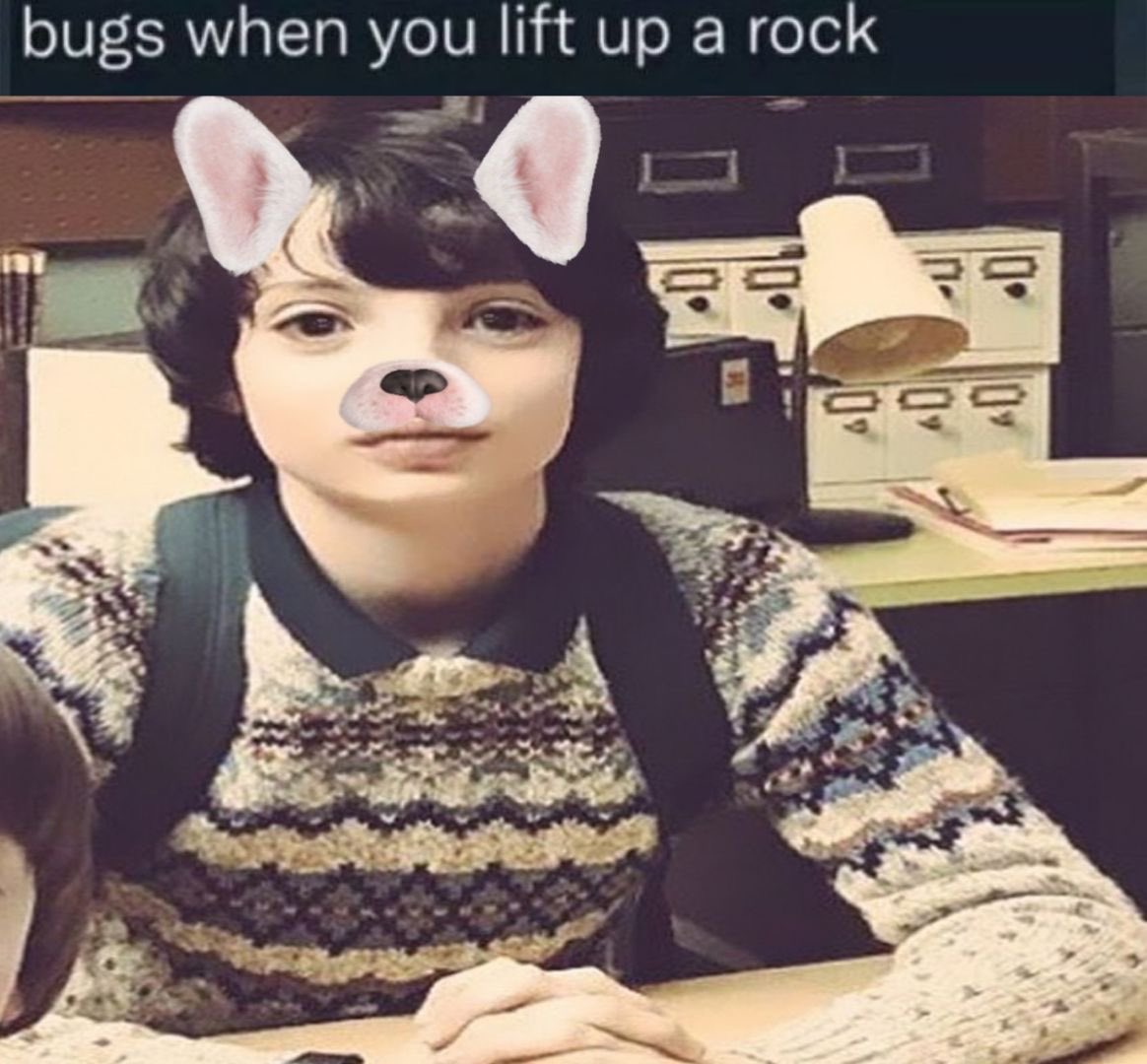 Bugs when you lift up a rock😳