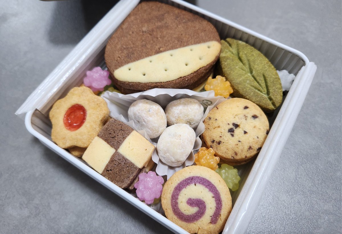 み様🩷MHnowと爬虫類とYoutube tweet media