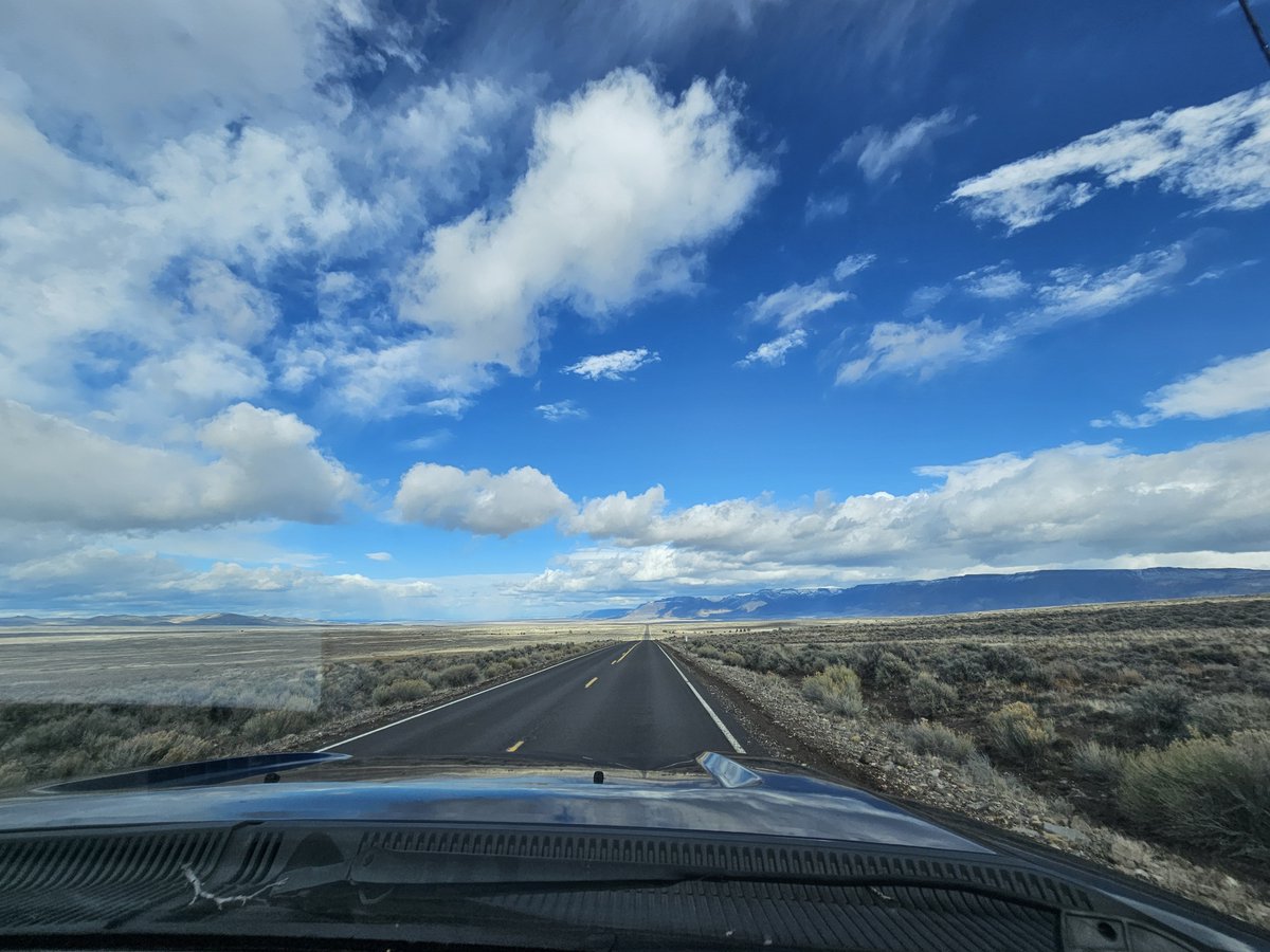 Deborah Simpier tweet media