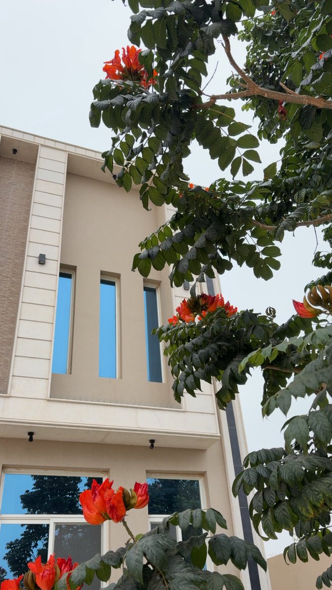 مانع اليامي tweet media