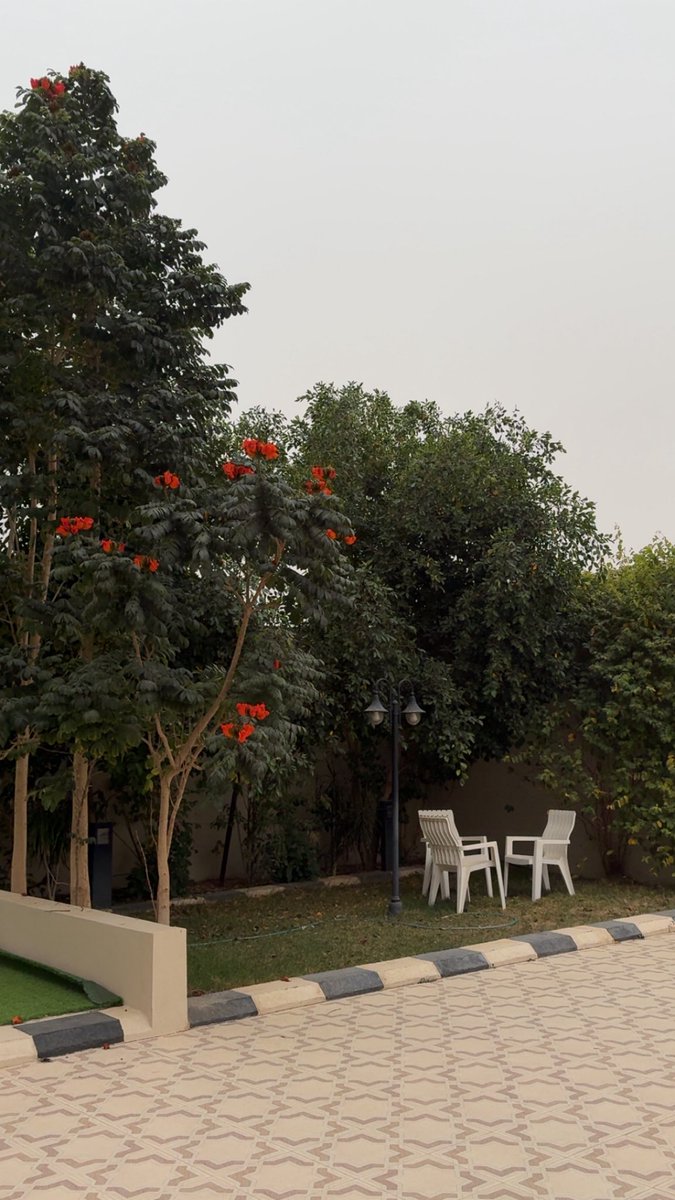 مانع اليامي tweet media