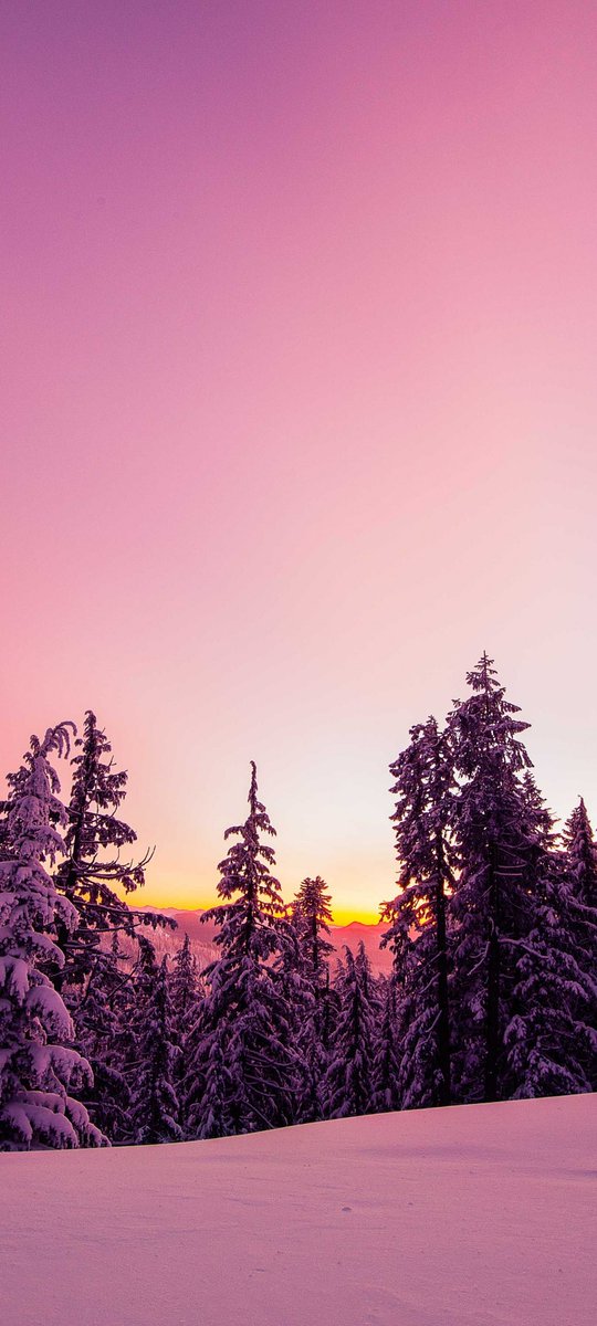 purenature_1's tweet image. Pinky winter sunset ☀️❄️ #Snowbreak